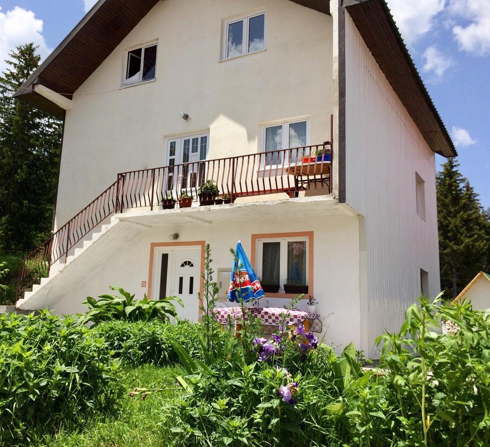 Aprartman Nikola Apartment Zabljak  Exterior photo